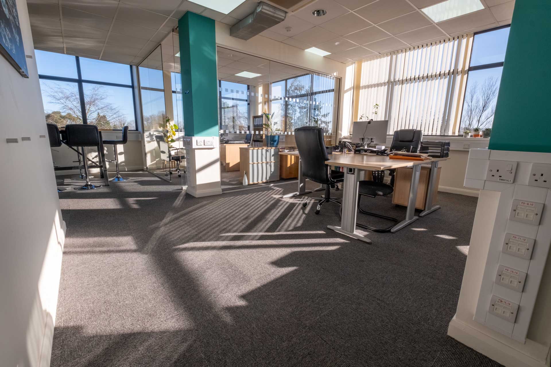 Dog-Friendly, Well-Connected, and Actually Nice to Be In: What to Look for in a Surrey Office Space