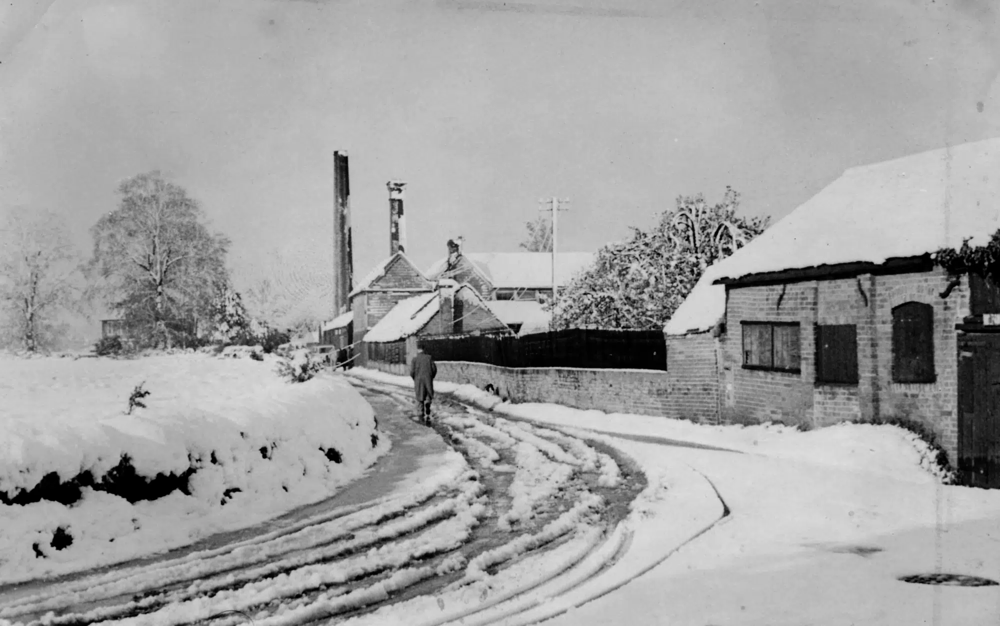 tannery 11
