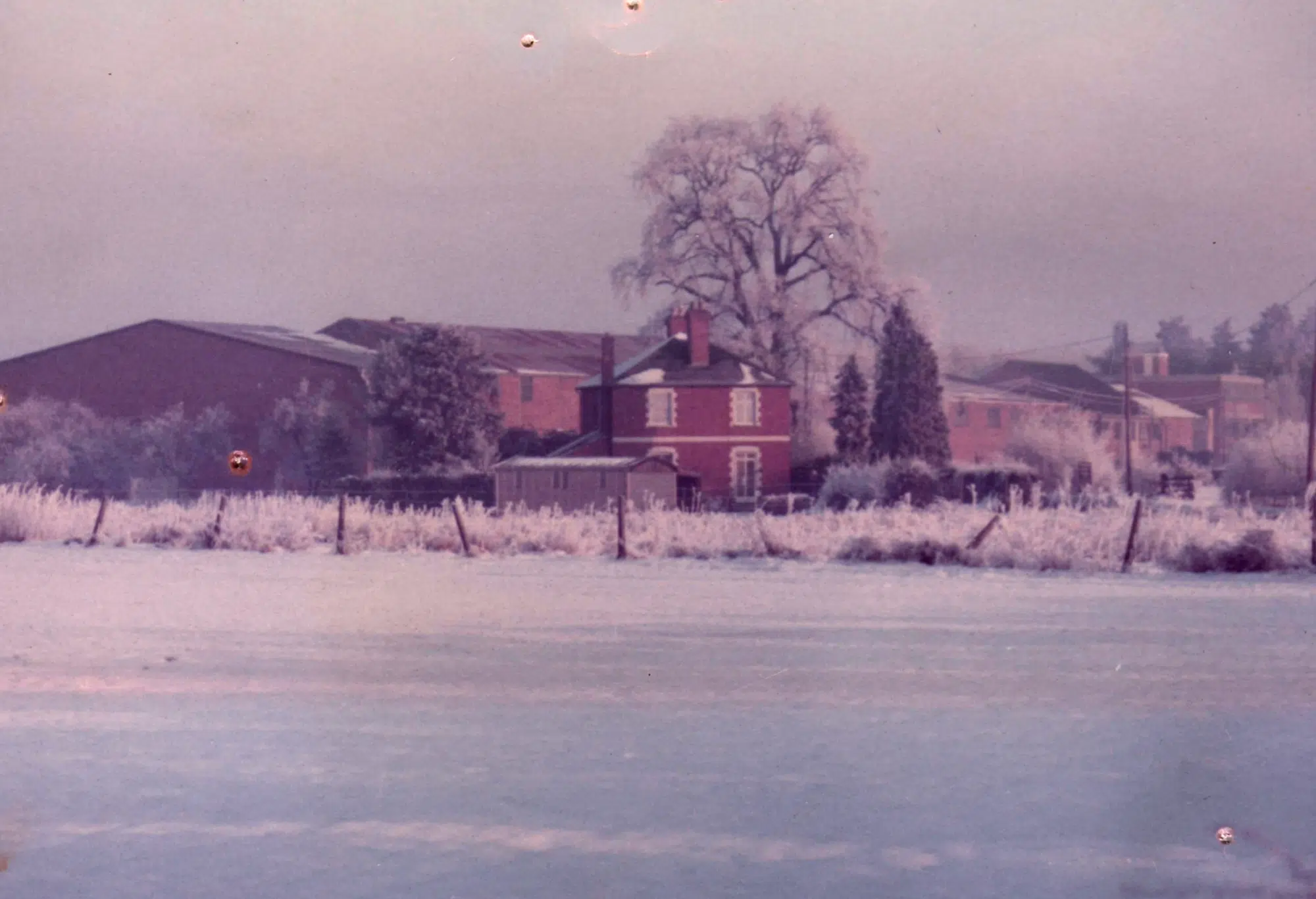 tannery 9