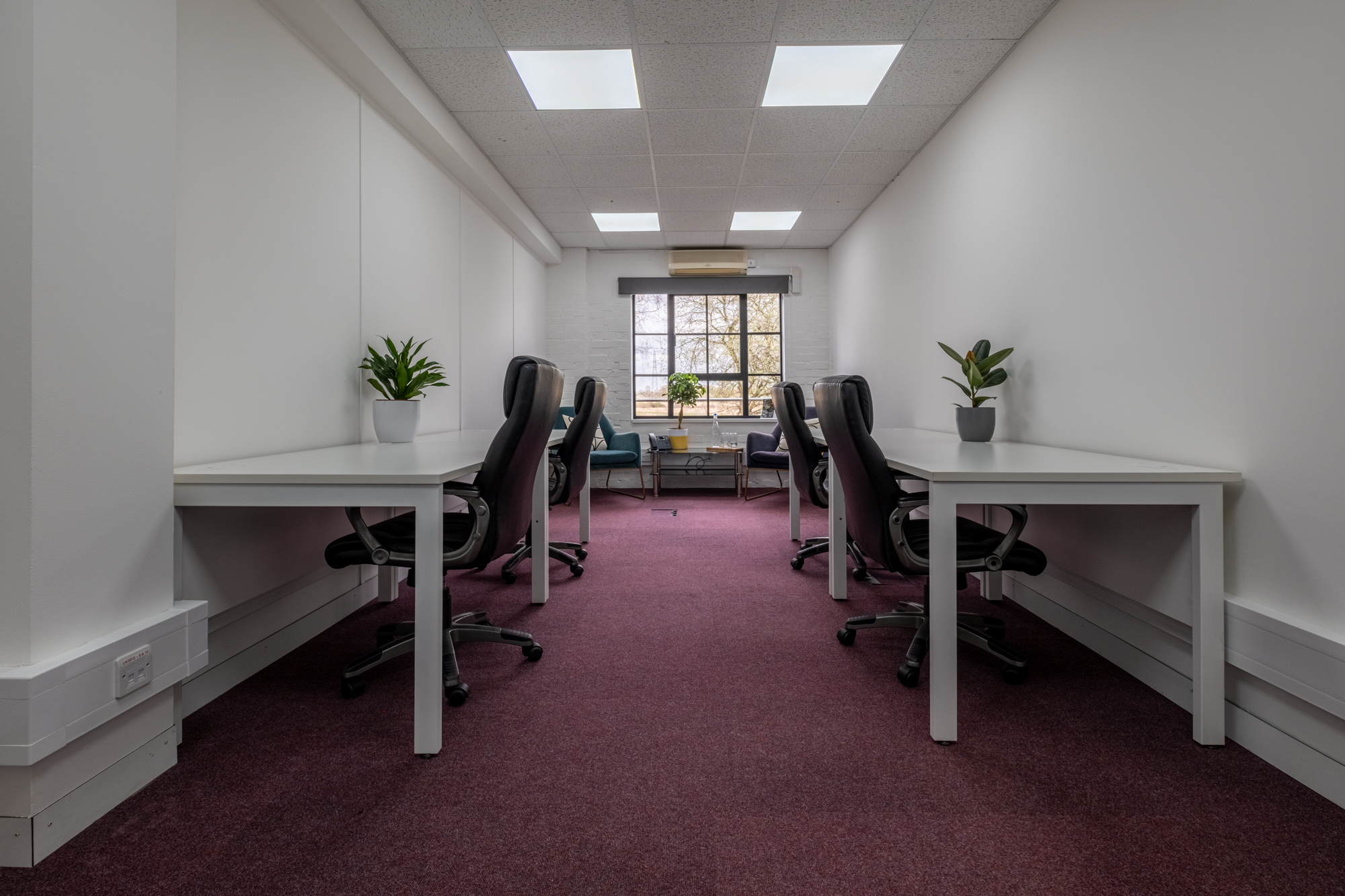 SBC-4 Empty office with desks and plants.